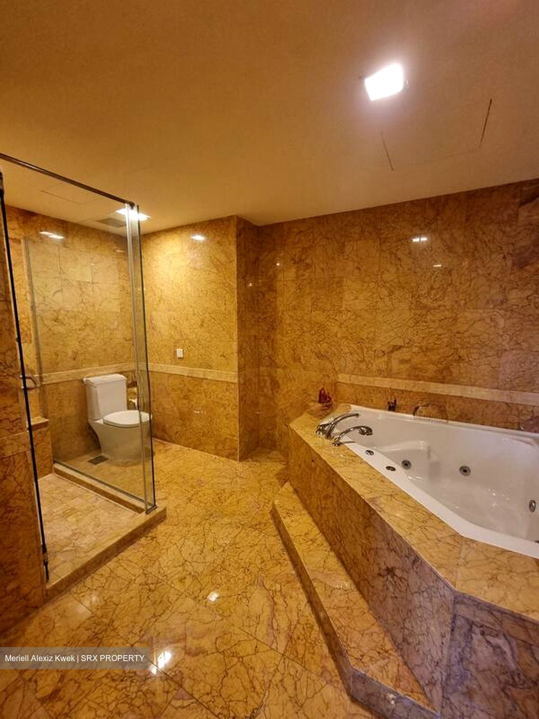 Orchard Scotts (D9), Condominium #502514541